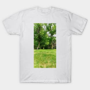 Meeting place T-Shirt